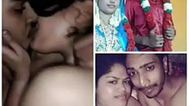 Sex Vedio Malayalam - New Malayalam Sex Vedio indian porn movies at Newindiantube.mobi