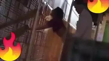 Indian Web Series Copy